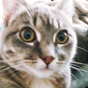 Meet your Posher, Marsha